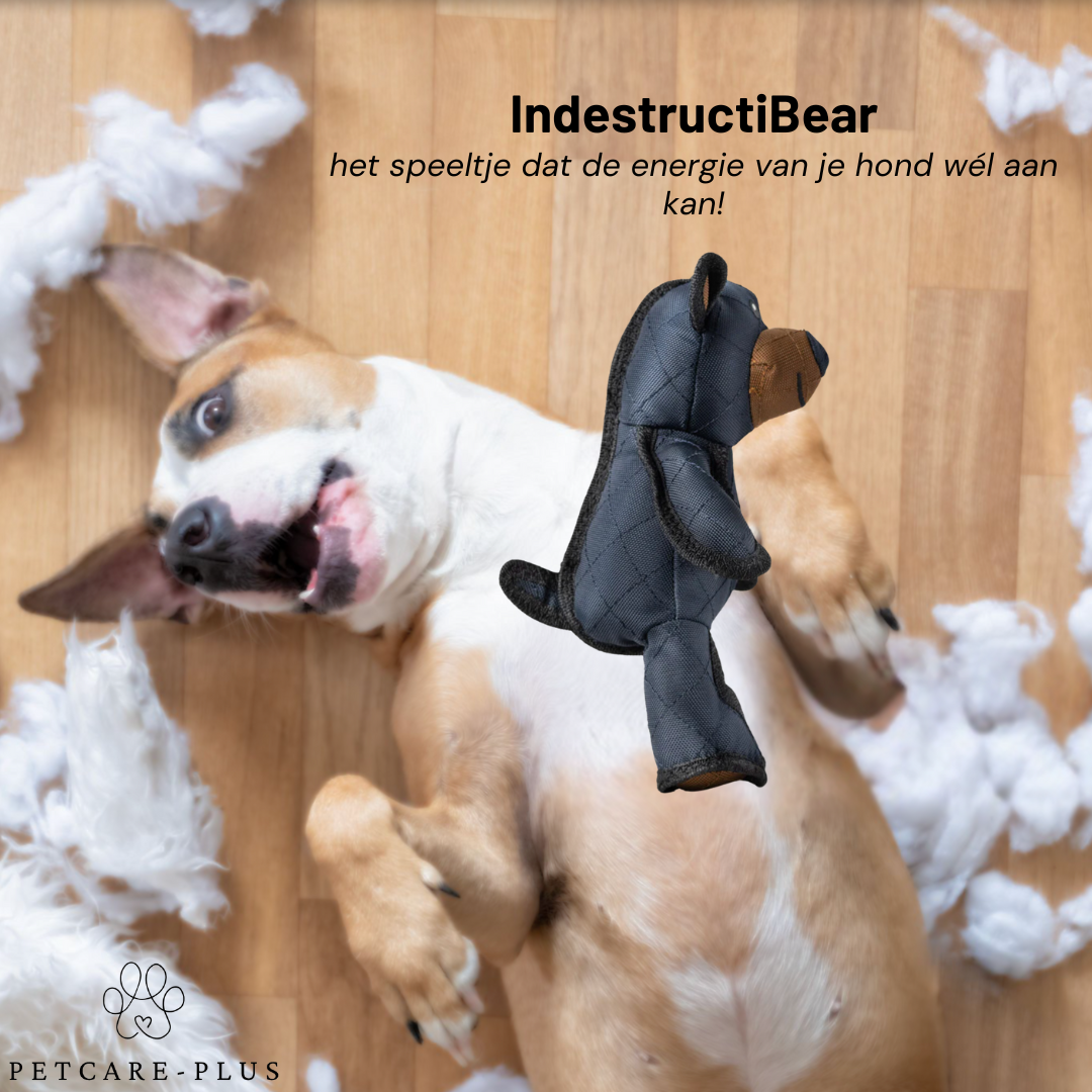 IndestructiBear - Voor duurzaam speelplezier!
