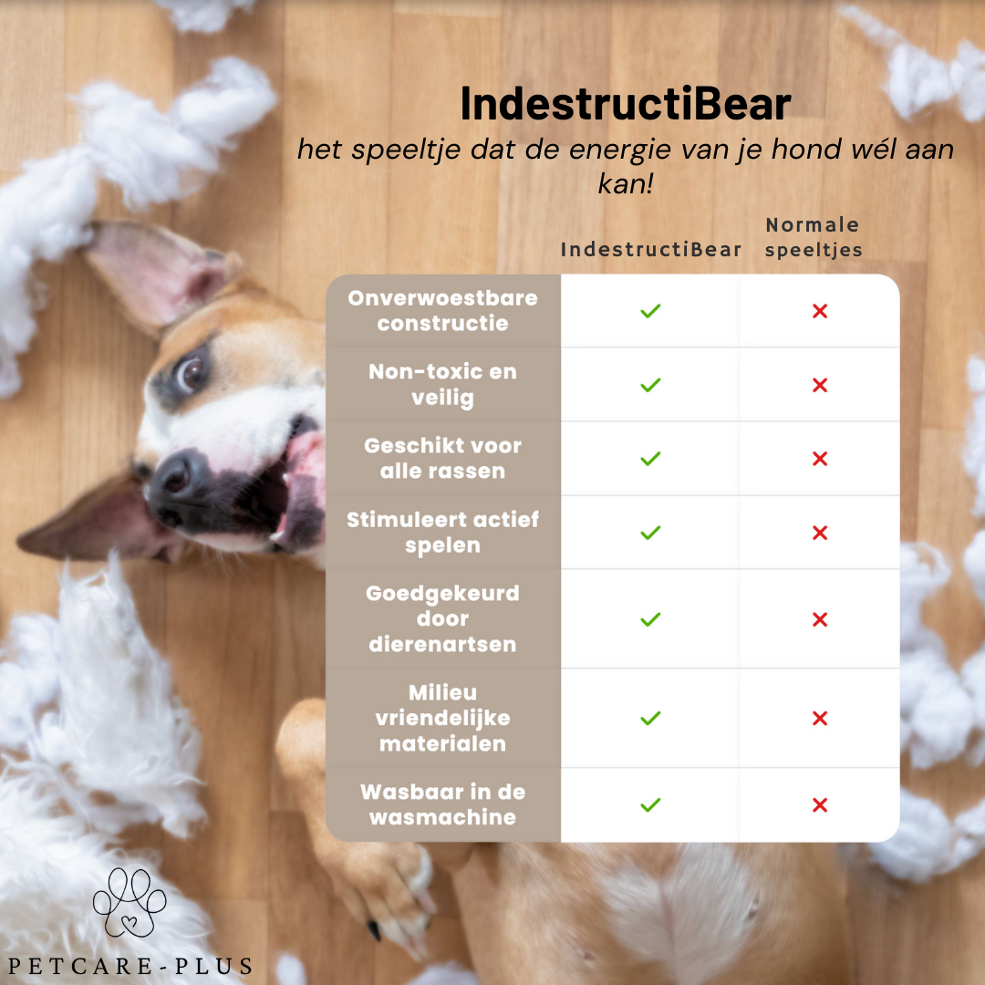 IndestructiBear - Voor duurzaam speelplezier!