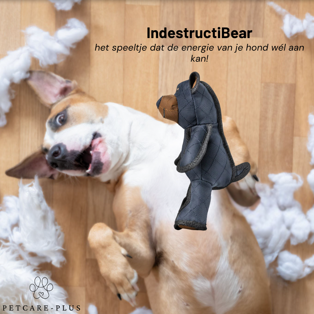 IndestructiBear - Voor duurzaam speelplezier!